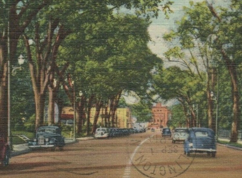 West Avenue Norwalk Connecticut autos trees 1940 linen postcard F200 