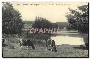 Old Postcard Paimpont Foret at Waterfront L'Etang des Forges Cows