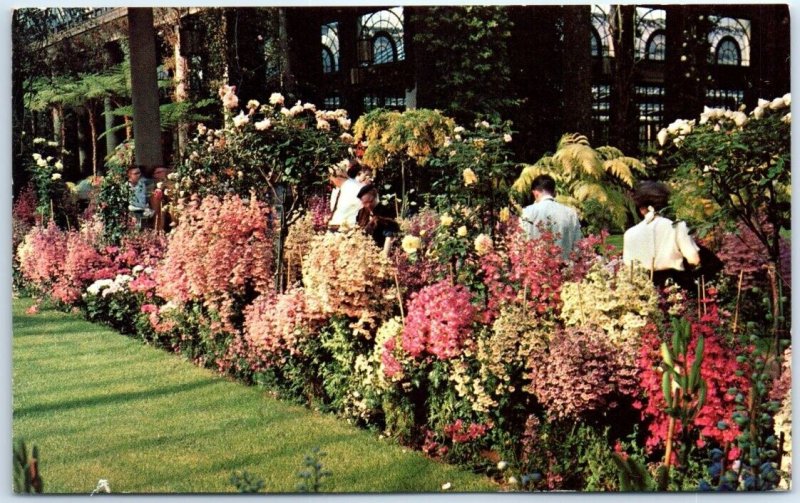 Postcard - Flowers In Conservatory, Longwood Gardens - Delaware