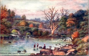 Moore's Tree, County Wicklow Picturesque Counties Tuck 7029 Vintage Postcard Z02