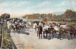 SANTA BARBARA CA-FINE BLOODED COWS SUPPLY HOTEL POTTER BUTTER MILK POSTCARD