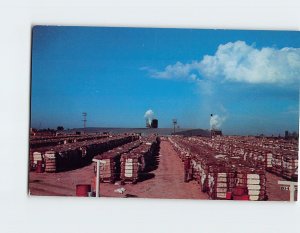 Postcard Storage Yard and Compress Plant, San Joaquin Valley, California