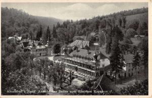Alexisbad Germany Iron Cross Bath Birdseye View Antique Postcard K18938 