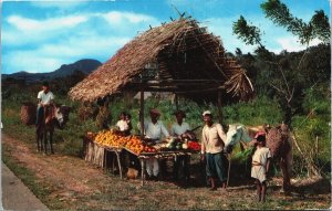 Panama A Typical Native Fruitstand Chrome Postcard C035