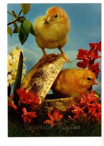 Chicks in Basket, Voyenses Paques, French Easter Postcard