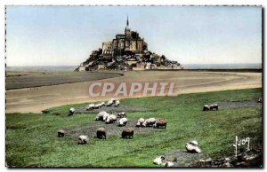 Old Postcard Mont Saint Michel Sheep