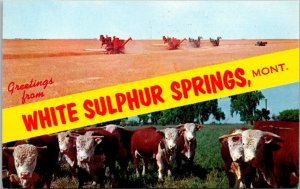 Greetings From White Sulphur Springs Montana Multi View Farm Scenes