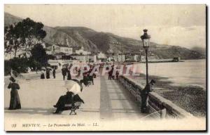 Old Postcard Menton The Promenade Du Midi