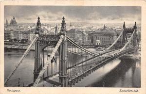 B36007 Budapest Elisabeth Bridge hungary