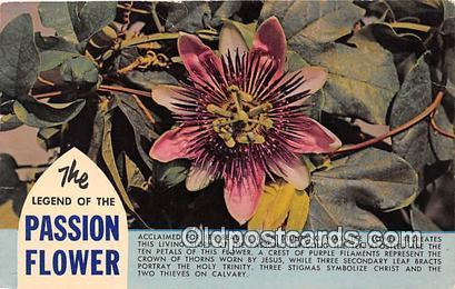 Passion Flower Unused 