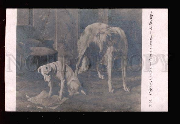 026785 BORZOI & JACK RUSSELL TERRIER. Vintage PC