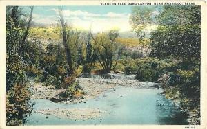 W/B The Falls at Devils Kitchen near Amariool Texas TX