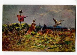 257360 HUNT Hunter HARE Scarecrow FALCON by MULLER Vintage PC