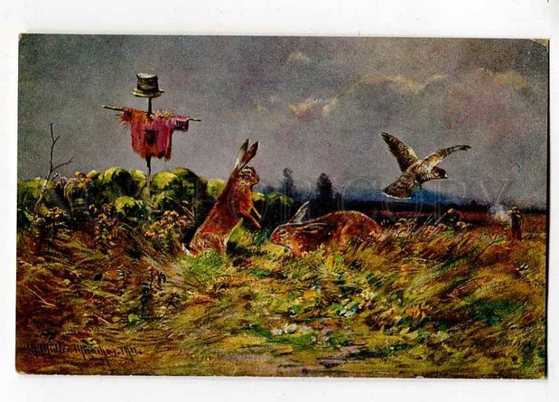 257360 HUNT Hunter HARE Scarecrow FALCON by MULLER Vintage PC