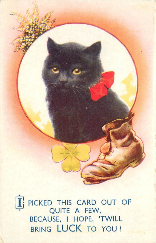 Vintage Postcard Bamforth Good Luck Comic 908 Black Cat Red Bow