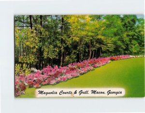 Postcard Azaleas, Magnolia Courts & Grill, Macon, Georgia