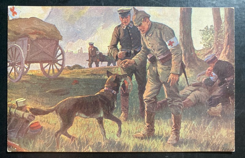 Mint Germany PPC Picture Postcard Red Cross Dog Training 