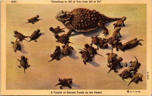 Postcard A Family of Horned Toads on the Desert