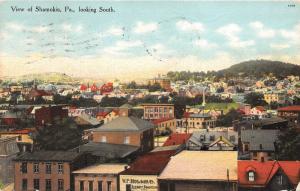 South Shamokin Pennsylvania Bird's Eye View~Houses-Churches-Street~1909 Postcard