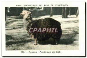 Image Zoo de Vincennes wood alpaca, South America