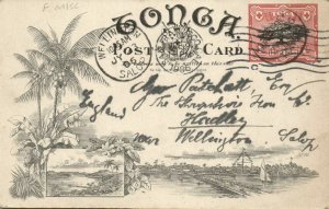 tonga islands, Pineapple Plantation (1906) Pre-Printed Stamp