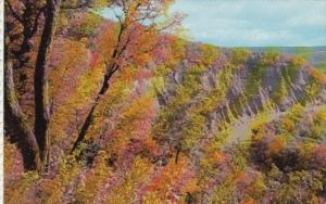 New York Castile Cathedral Rock Formations Letchworth State Park