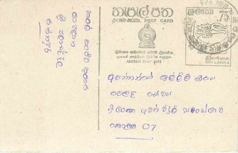 Entier Postal Stationery Postal Sri Lanka Ceylon Lion