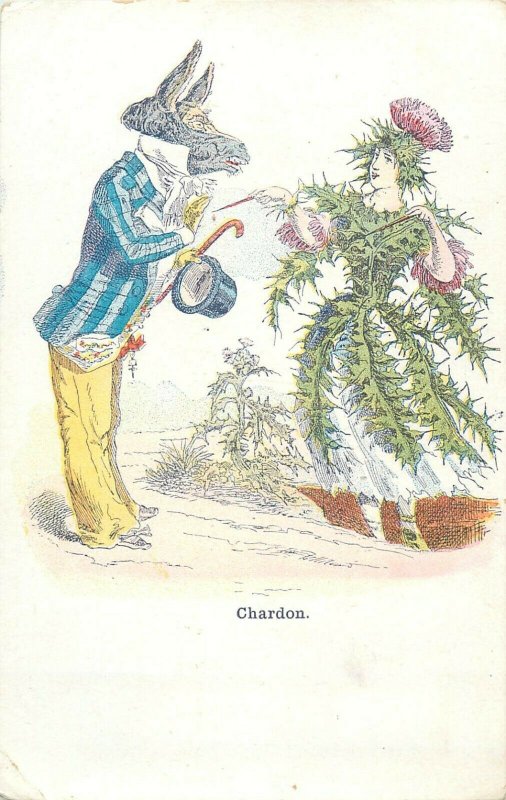 cpa illustrateur GRANDVILLE Fleur Anthropomorphe Humanisée Chardon surrealism 