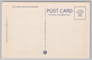 Linen~Air View Weaverville North Carolina Hamburg Mountain~Vintage Postcard