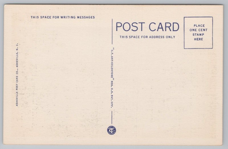 Linen~Air View Weaverville North Carolina Hamburg Mountain~Vintage Postcard