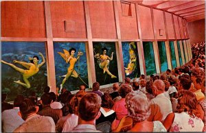 Florida Weeki Wachee Florida Memraids