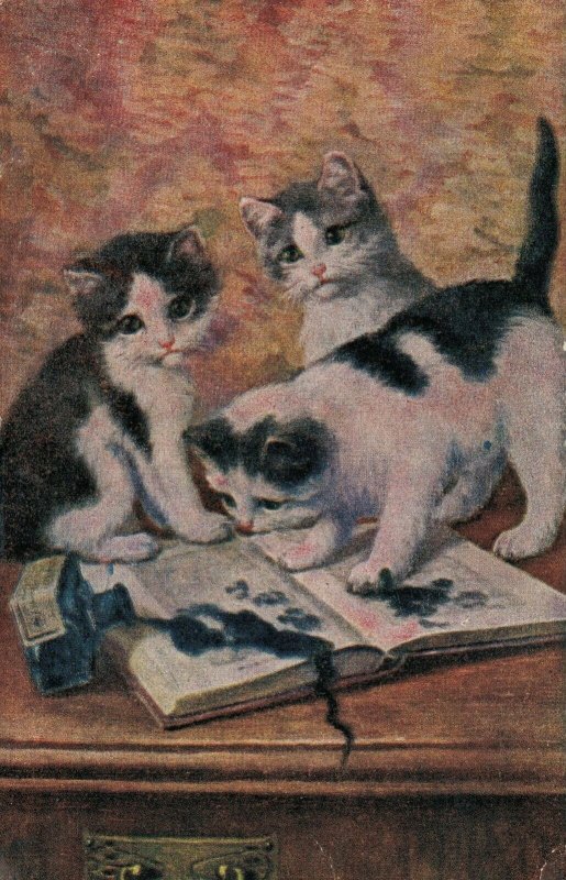 Three Kittens Playing on a Book Vintage Postcard 03.45