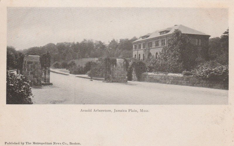 Jamaica Plain, Mass., Arnold Arboretum