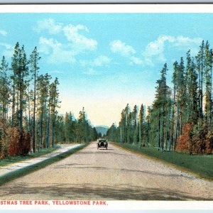 c1910s J.E. Haynes Christmas Tree Touring Car Yellowstone Park #16211 Photo A222