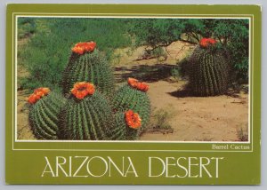 State View~Barrel Cactus On Arizona Desert~Continental Postcard 