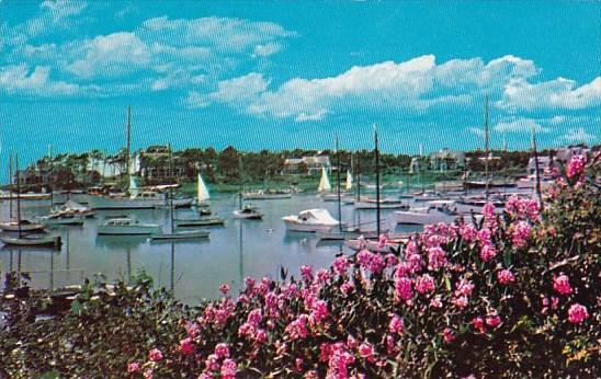 Wychmere Harbor On Cape Cod Massachusetts 1964