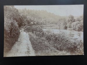 Worcestershire BEWDLEY Seckley Woods c1910 RP Postcard by Photochrom