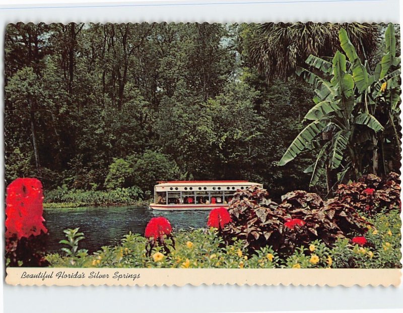 Postcard Beautiful Florida's Silver Springs, Florida