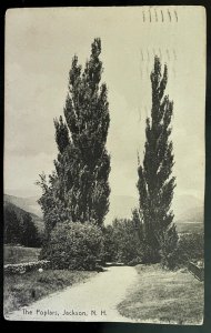 Vintage Postcard 1909 the Poplars, Jackson, New Hampshire (NH)