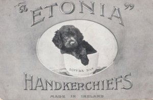 Etonia Handkerchief Dog Silk Post Victorian Irish WW1 War Advertising Postcard