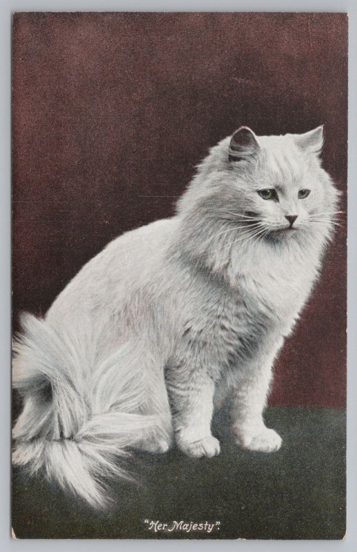 Cats~White Persian~Her Majesty~Vintage Postcard