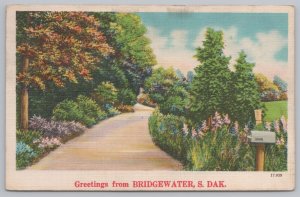 Bridgewater South Dakota~Path Along Woods~Flower Beds~Linen Vintage Postcard