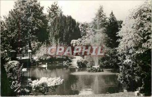 Modern Postcard Vichy Allier Lake and Swans