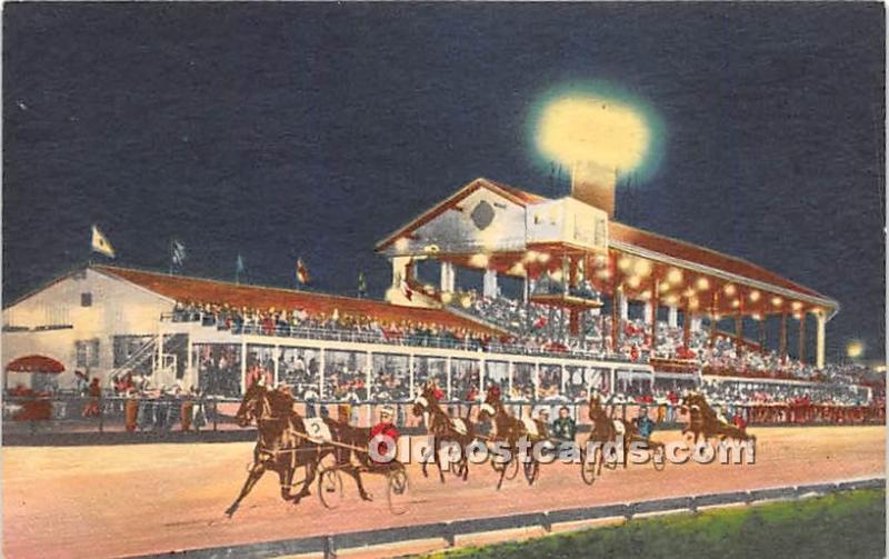 Night Trotting Races, Fairgrounds Trotting Track Louisville, KY , USA Horse R...