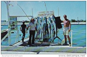 Florida Key West Days Fishing Catch Caught On The Sandpiper