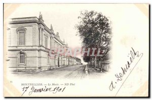 Old Postcard Montpellier Museum