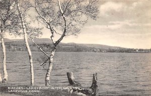 Birches Lakefront Interlaken Inn Lakeville CT 