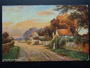 Sussex ALDWICK Near BOGNOR c1906 Postcard by S. Hildesheimer 5516