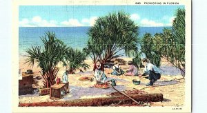 Picnicking In Florida Postcard Standard View Card Beach Campfire
