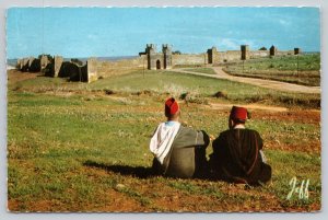 Postcard Rabat Morocco Chellah Fortress Wall Landscape 1950s Chrome View